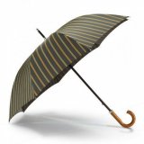Мужской зонт, с зеленой полосой Dalvey 00912