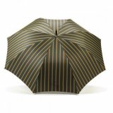 Мужской зонт, с зеленой полосой Dalvey 00912