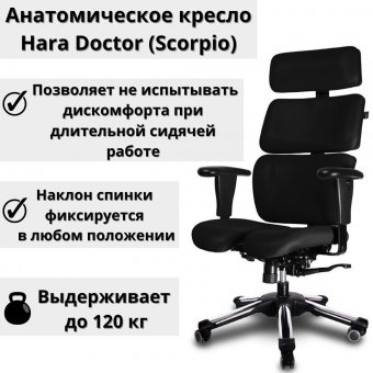 Hara ergonomic 2025 doctor v chair