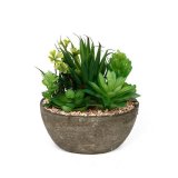 Искусственное растение суккулент в горшке 15*10*18см 
