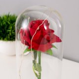Ночник "Алая роза" Luxury Gift, LED, 19,5 х 9,5 см, от батареек