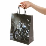 Пакет подарочный 26x12,7x32,4 см, ЗОЛОТАЯ СКАЗКА "Мотоцикл", ламинированный, 606589