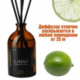 Аромадиффузор L.M.D.O. 100 мл, Лайм имбирь